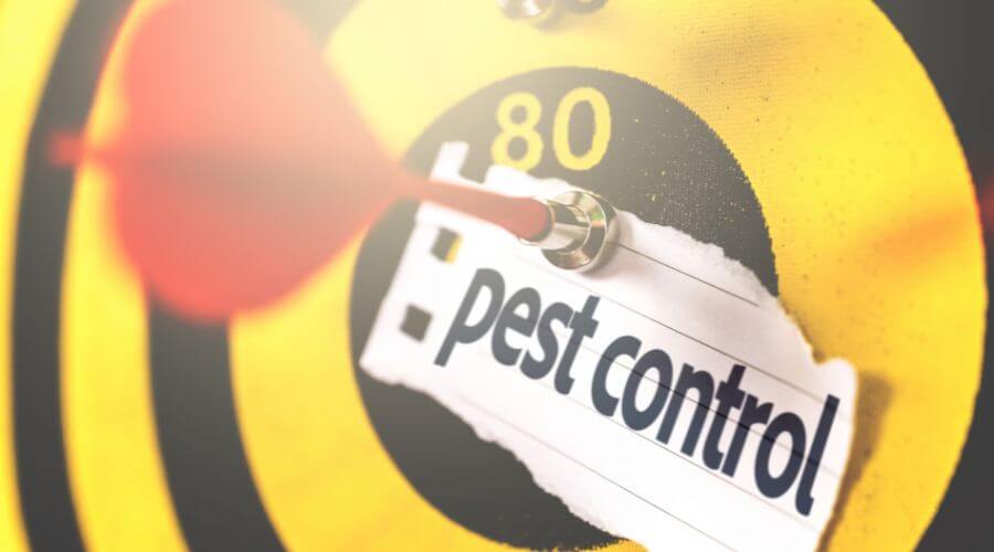 Professional mosquito fogging services in Pensacola - Mosquito Fogging Pensacola