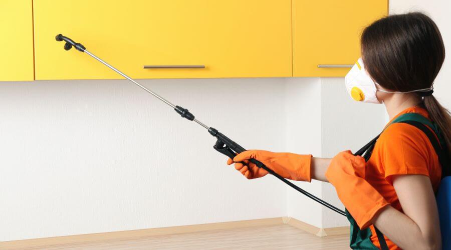 Why choose Mosquito Fogging Pensacola for mosquito fogging in Pensacola